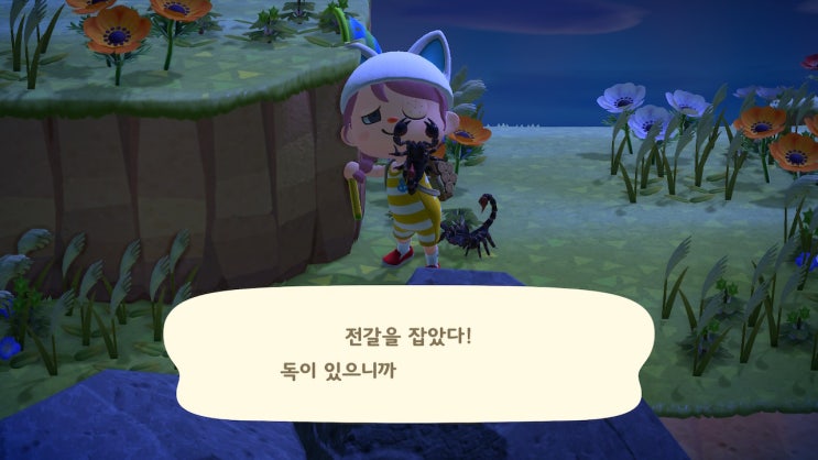  모여봐요 동물의숲 : 모동숲 마일섬 전갈섬에 가다