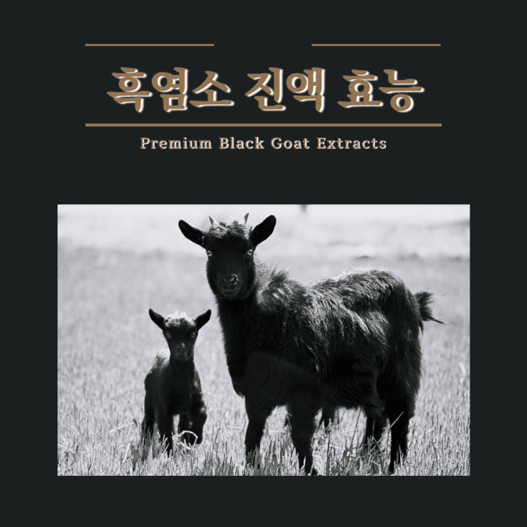 흑염소 진액 효능 부작용 알고 중년 건강 활력 및 혈관건강 챙겨요 흑염소 진액 효능 부작용 알고 중년 건강 활력 및 혈관건강 챙겨요