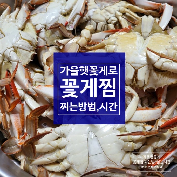 가을 햇꽃게 숫게가 맛있다 꽃게찜 찌는법