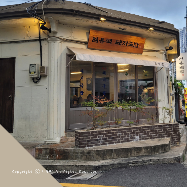  깔끔한 맛이 또 생각나 먹보와털보 부산 엄용백돼지국밥