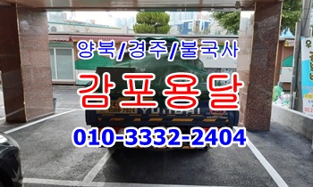 감포용달 양북 경주 용달운송010-3332-2404. 감포용달 양북 경주 용달운송010-3332-2404.