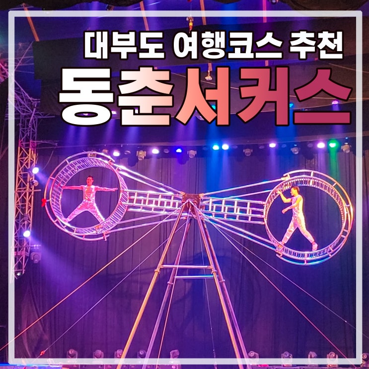  대부도 아이와 갈만한 곳 동춘서커스 (가격, 자리 팁)