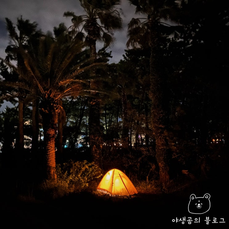  제주 노지캠핑 협재해수욕장 야영장에서 하룻밤