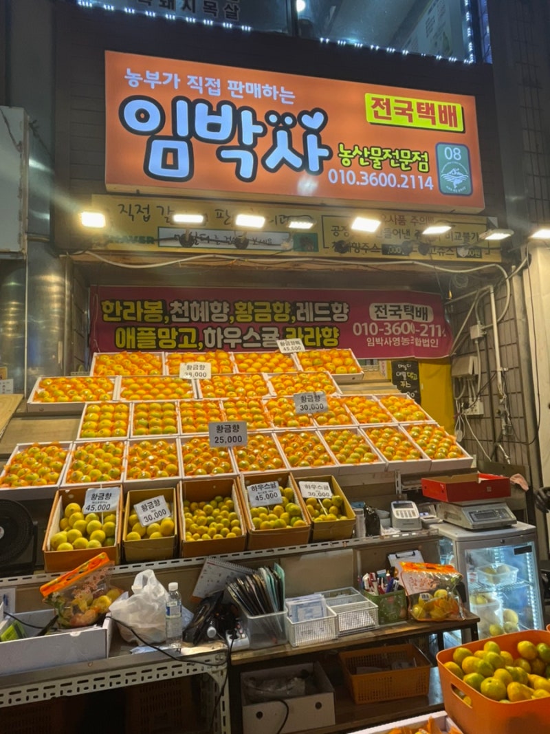 [제주도 특산품] 올레시장 "임박사농수산", 황금향/귤/애플망고 다양하게