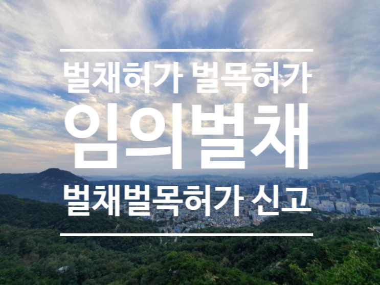  입목벌채 벌목 벌채허가 벌목허가 임의벌채 임의벌목 허가없이 벌채 벌목(벌채 3탄)