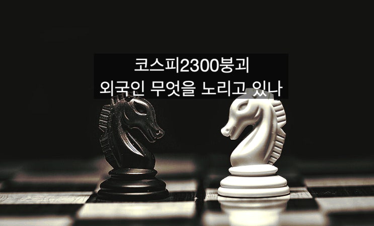  삼성전자약세 코스피2300붕괴 외국인 무엇을 노리나