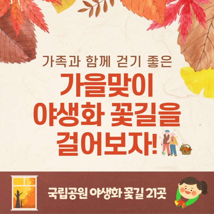 [가족과 함께 가을 나들이 떠나기] 가을맞이 국립공원 야생화 꽃길 21곳 걸어보기 안내