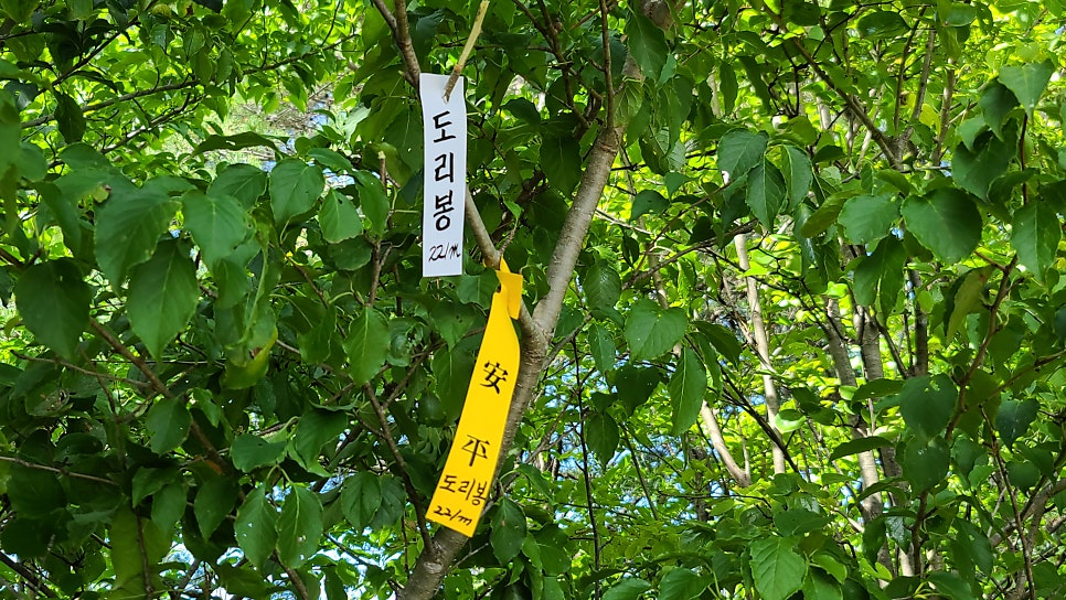 범산 사진 5