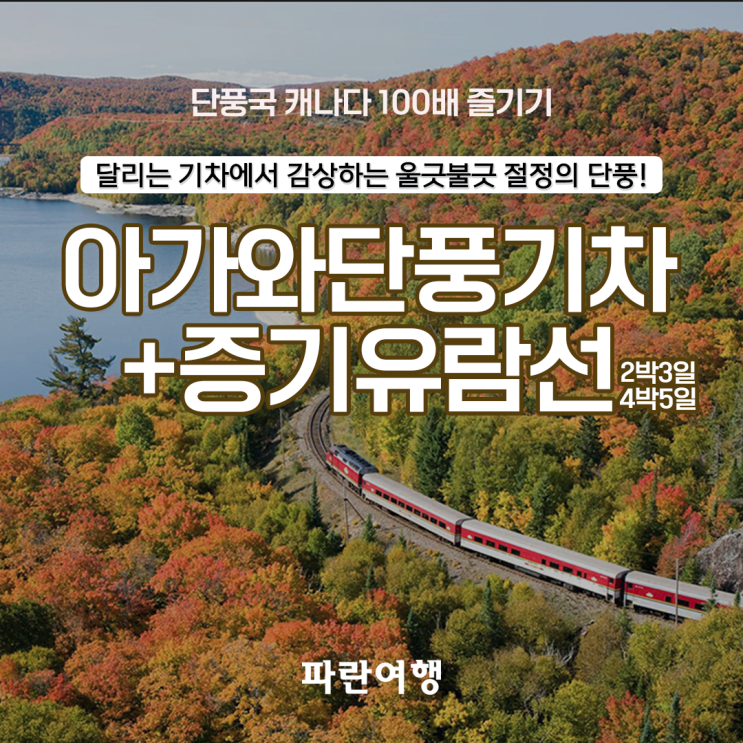  달리는 기차에서 감상하는 울긋불긋 절정의 단풍! 아가와단풍기차+증기유람선[2박3일]/[4박5일]