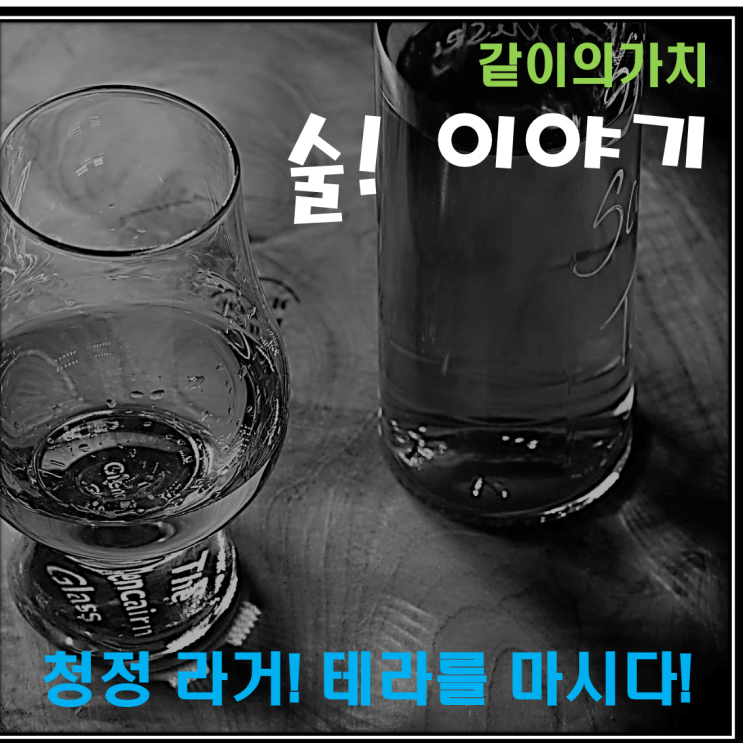 청정 라거! 테라를 마시다!