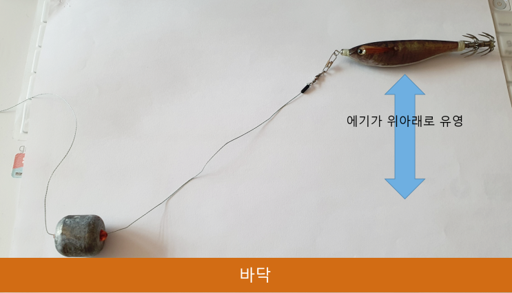  쭈꾸미 낚시 채비 방법 (직결 채비, 가지채비, 프리리그 등 다양한 채비 공략)