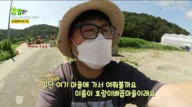 생생정보 미스터Lee 사진한컷 연천편 호로고루 해바라기 율무경단 율무비빔밥