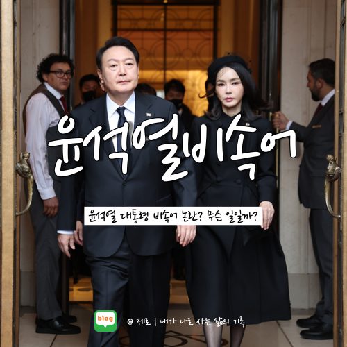  윤석열 비속어 외신 반응과 지지율 탄핵까지