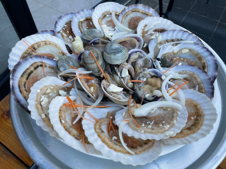  남해 상주/ 상주은모래비치 조개구이 맛집/ 회뜰날횟집
