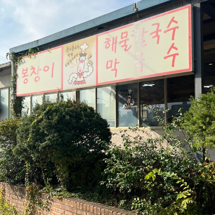  내돈내산 청주 봉창이 해물 칼국수 외길 인생
