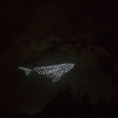 울산 태화강 빛축제, 밤하늘에 고래가 춤추는 드론쇼
