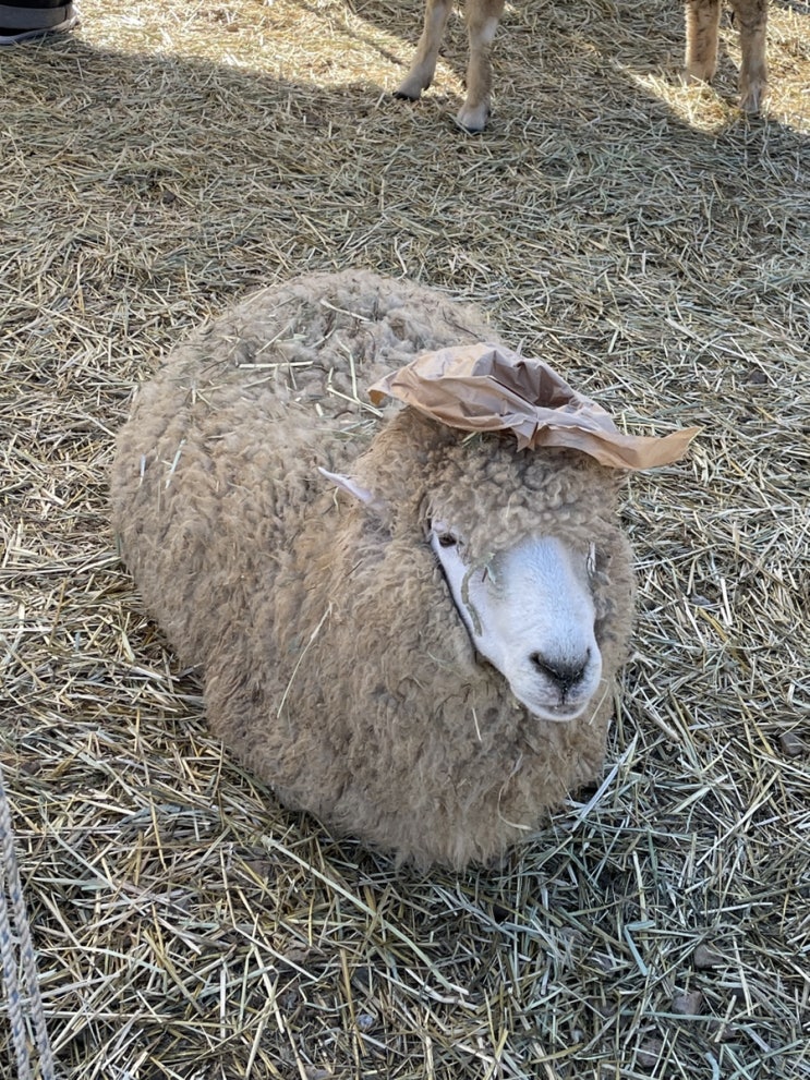  가!평!