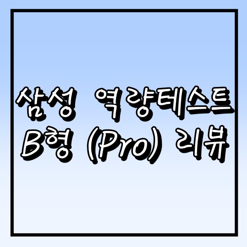 [삼성 역량테스트 B형] 즐거운 합격 리뷰~~
