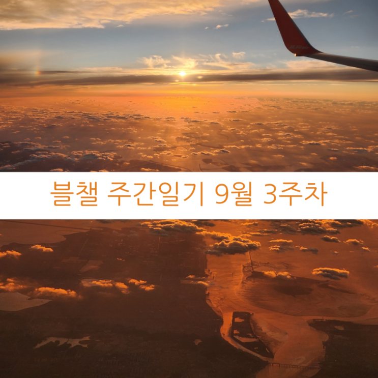  블챌 주간일기 9월 3주차