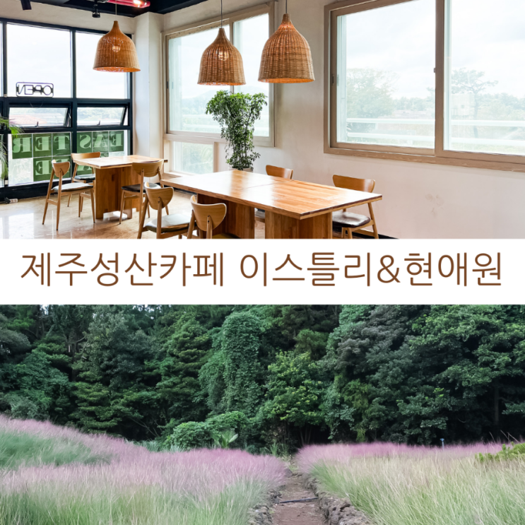  제주카페투어 제주성산카페 제주애견동반카페 아름다운 정원이 있는 이스틀리카페&현애원