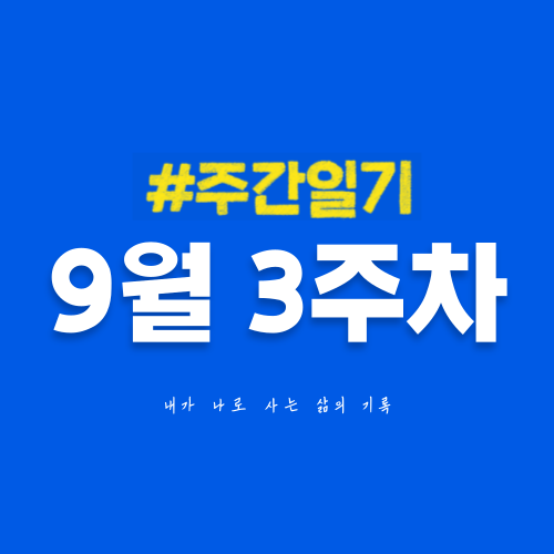  9월 3주차 | 유튜브는 순항 중, 브런치는 방치 중, 블로그는 성장 중?