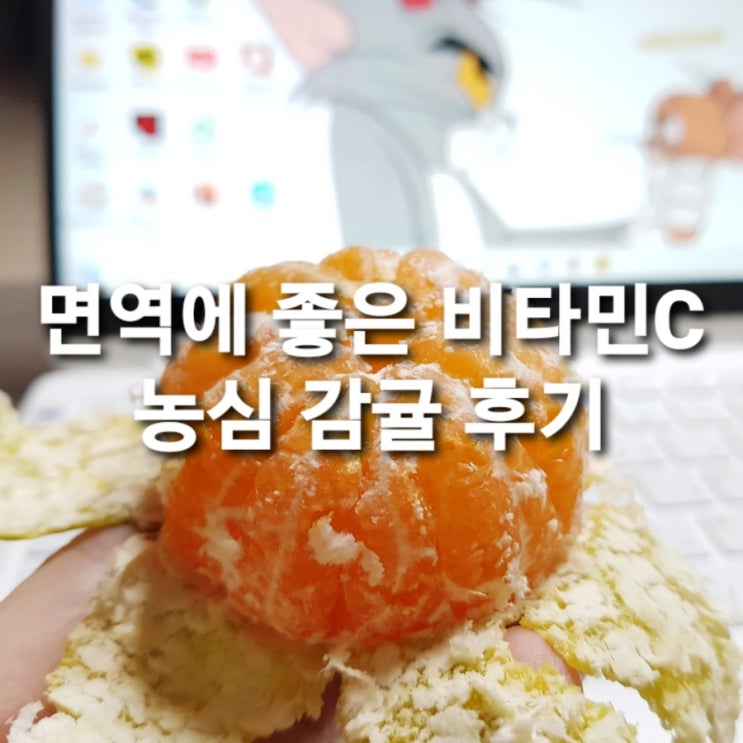 카카오 선물 후기/농심 제주 감귤/감기 예방