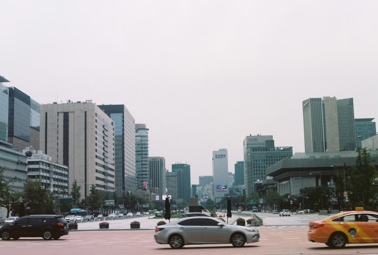  세종로