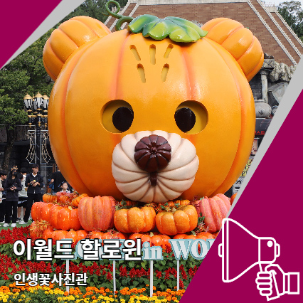 이월드 할로윈 코스모스 핑크뮬리 인생꽃사진관 할인 정보 이월드 할로윈 코스모스 핑크뮬리 인생꽃사진관 할인 정보