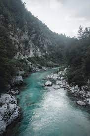  지켜봄