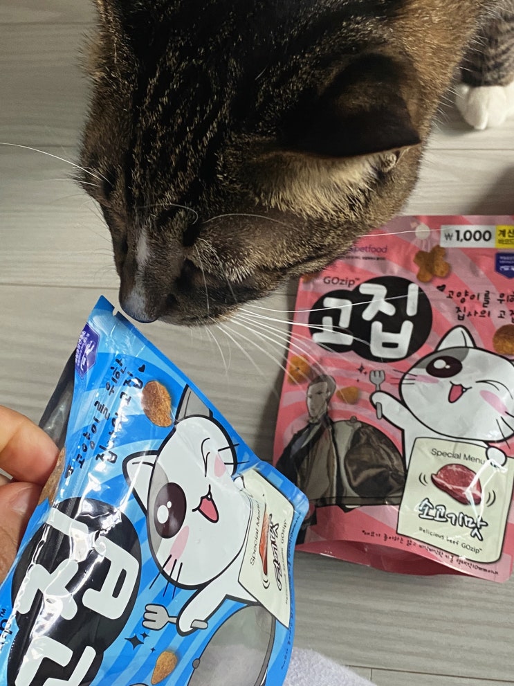  다이소 고양이간식_고양이가 인정한 고양이간식(고양이집사의 고집/집사/간식/가성비)