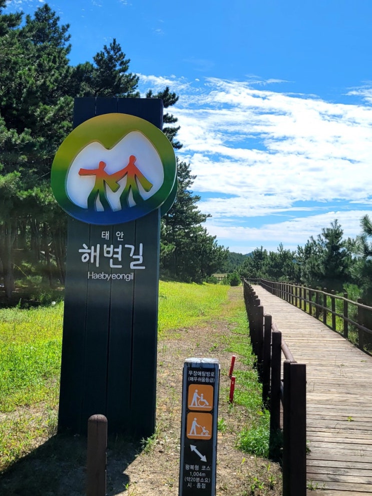  태안 노을길 해변길 5코스 트레킹 (안면도 여행 가볼만한곳)