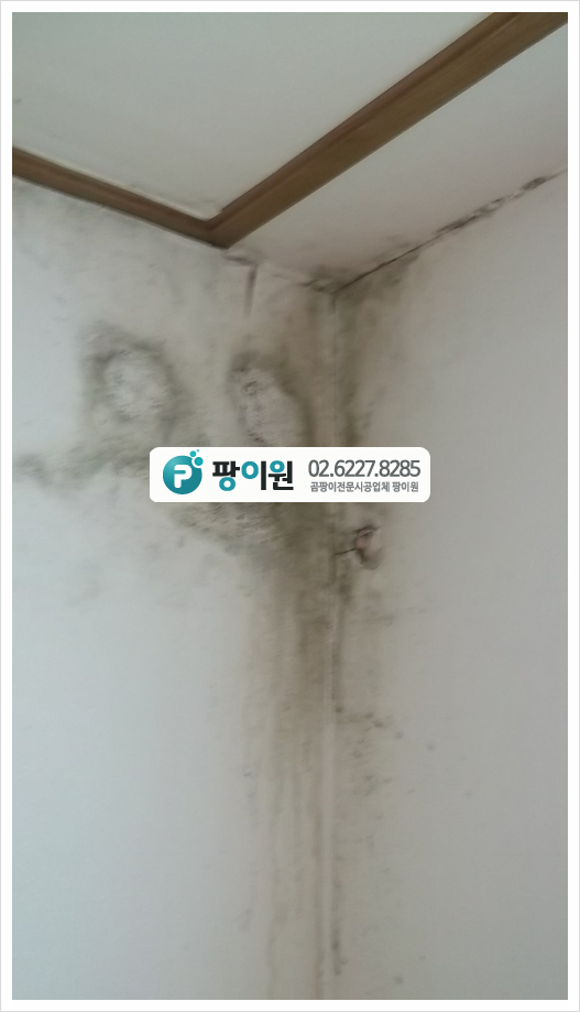  벽 곰팡이제거? 단열벽지로 해결이 가능할까?