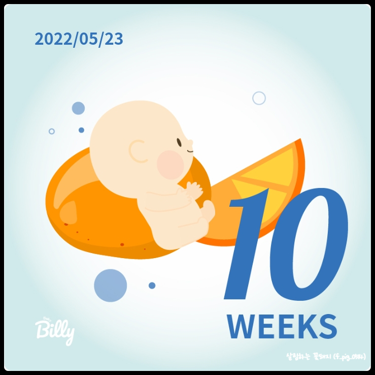  임신기록_ 임신 10주차 (태아보험가입, 입덧약 처방, 체중감소)
