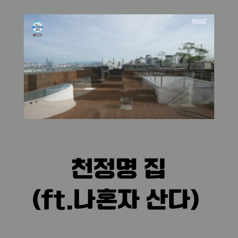 천정명 집(ft.나혼자산다)