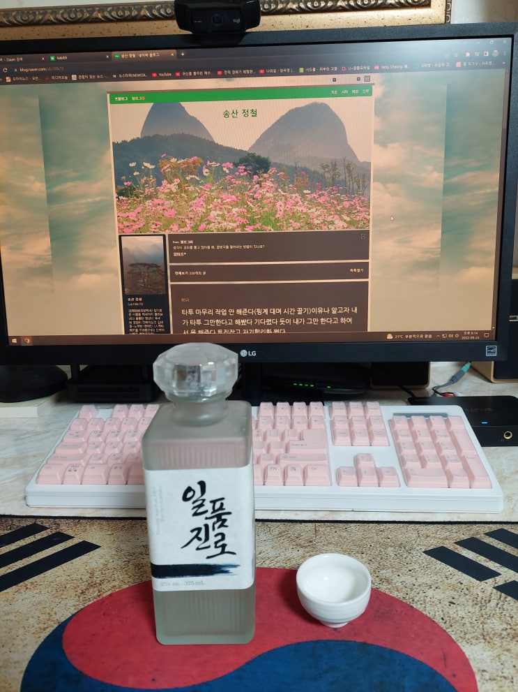  송산 일품진로 한잔 헌다 참으면서 말도 못 하고 혼자 끙끙 마음고생 벌린게 (이야기) 시원하다...