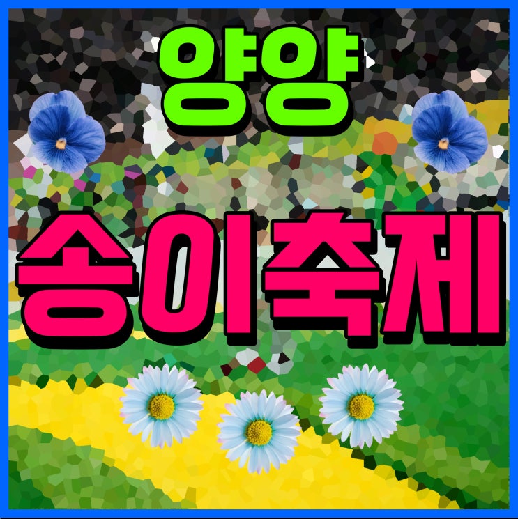  양양 송이축제 버섯 행사 부모님 모시고 가면 좋은곳
