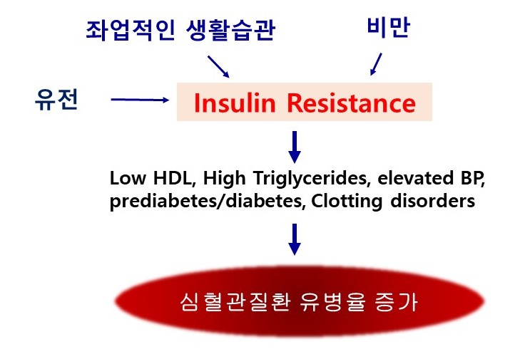  대사증후군(metabolic syndrome)이란? 대사증후군과 체력수준, X-Syndrome, 인슐린저항성(insulin resistance)