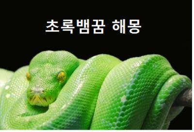  초록뱀꿈 해몽