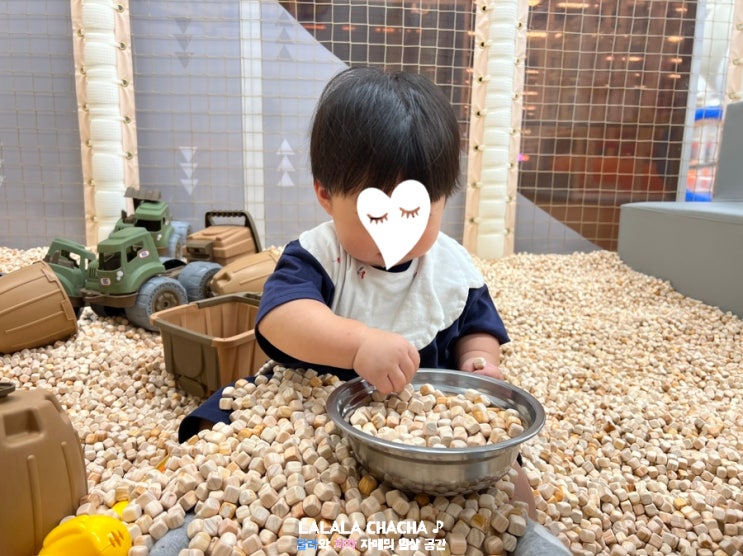  9월 세 번째 summer berry daily 번 아웃, 정신차리자.