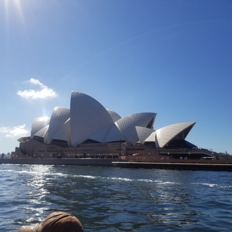  Australia 호주[벌써일년]