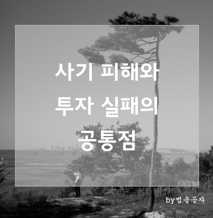  [생각] 사기 피해와 투자 실패의 공통점