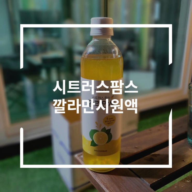  깔라만시원액 소주에 섞어마시자 시트러스 팜스