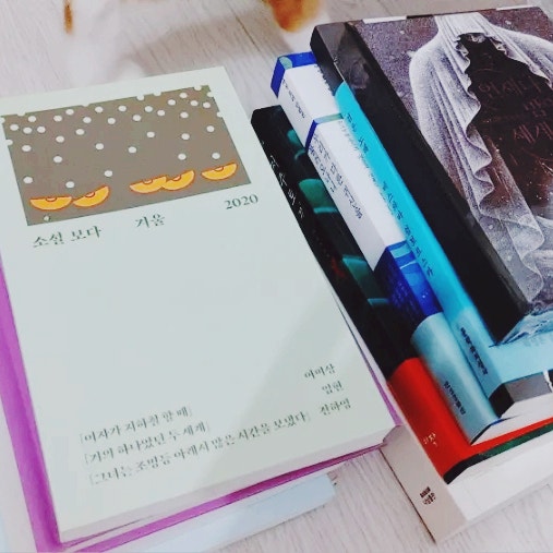 가을에  구매한 도서 리스트, 추천도서 목록 (feat. 도서 구매와 서평의 상관 관계,  타인의 책장)