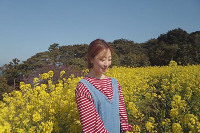  여자 혼자 일본여행 후쿠오카 4박 5일 노코노시마섬도 가기