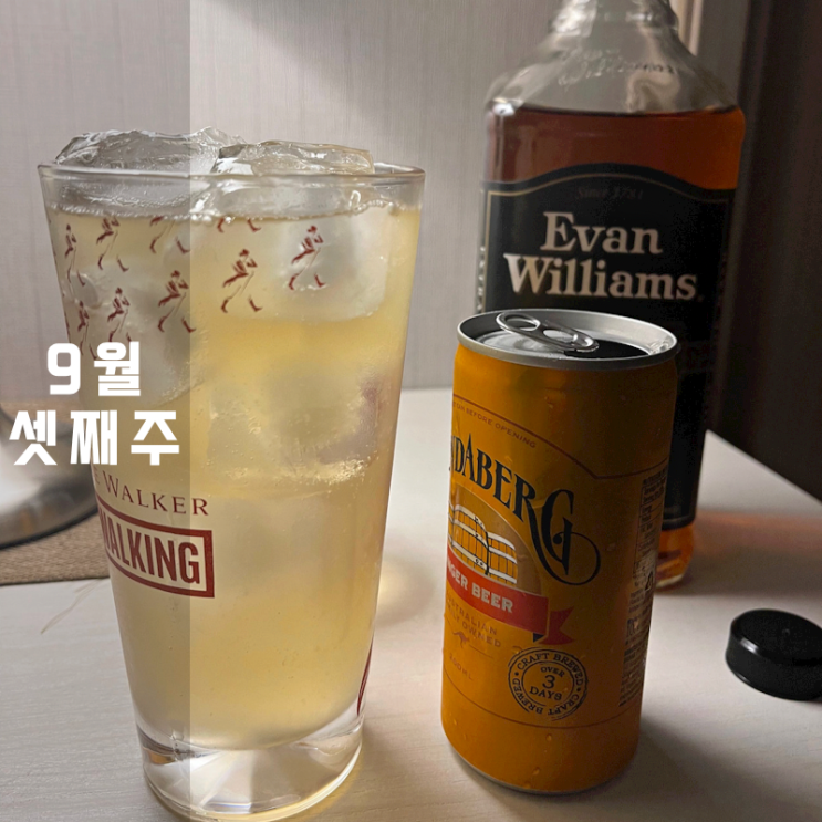  블로그 차트 죠니워커 위스키 제주도 여행