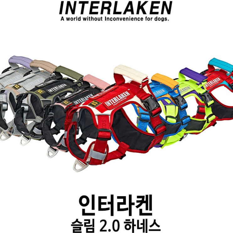  [인터라켄 슬림 2.0 하네스] 배곧 반려용품점 펫마루