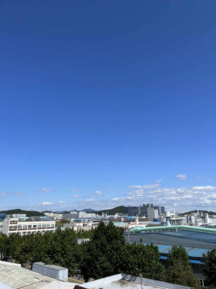 9월 넷째주 기록