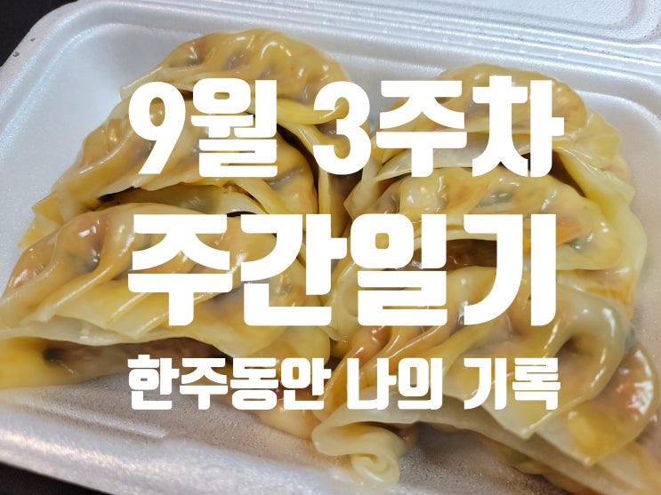 9월 3주차 주간 일기 9월의 마지막 주에 쓰는 나의 일상