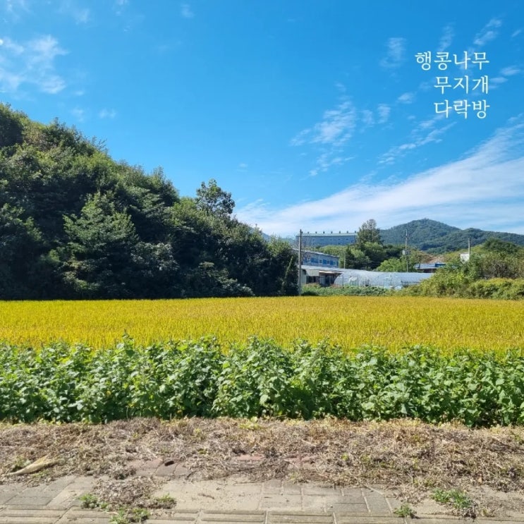  블챌 9월 3주 / 끝 그리고 시작