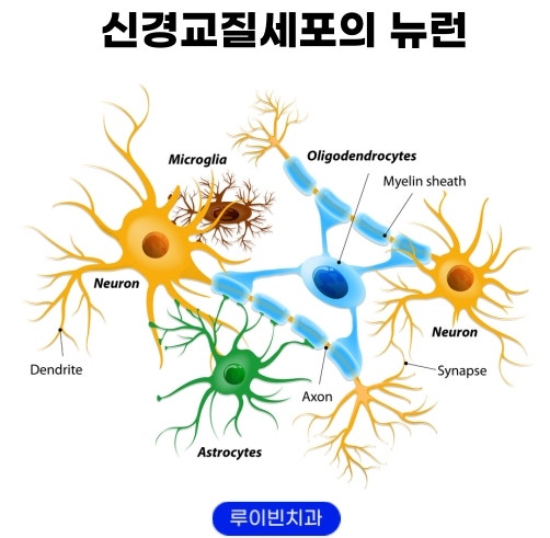 브레인포그(Brain Fog), 머리가 무겁고 어지러움 치료병원 : 네이버 블로그